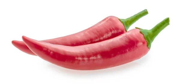 Chili peper op witte geïsoleerd — Stockfoto