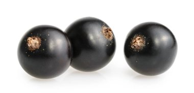 Beyaz arkaplanda siyah frenk üzümü izole edildi