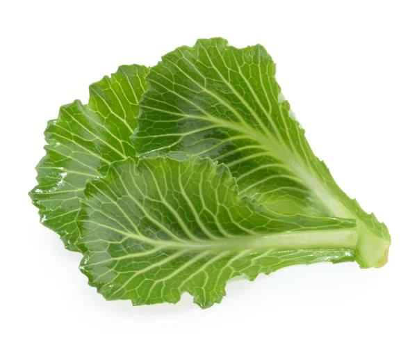 Cabbage leaves isolated on white — Stock Photo, Image