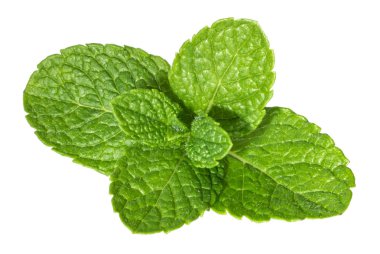 Mint leaves isolated without shadow clipart