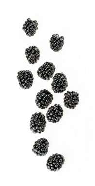 Böğürtlen meyve düşüyor içinde izole Üstten Görünüm