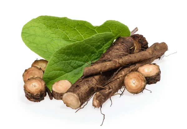 Beyaz arkaplanda izole edilmiş burdock kökleri