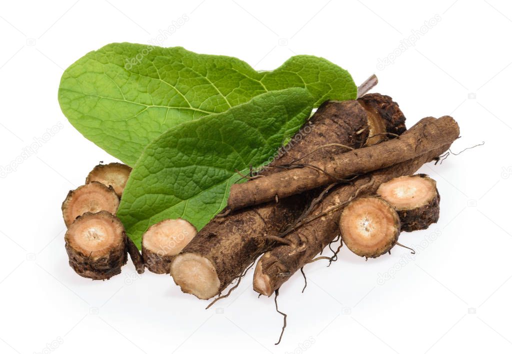 Burdock roots isolated on white background
