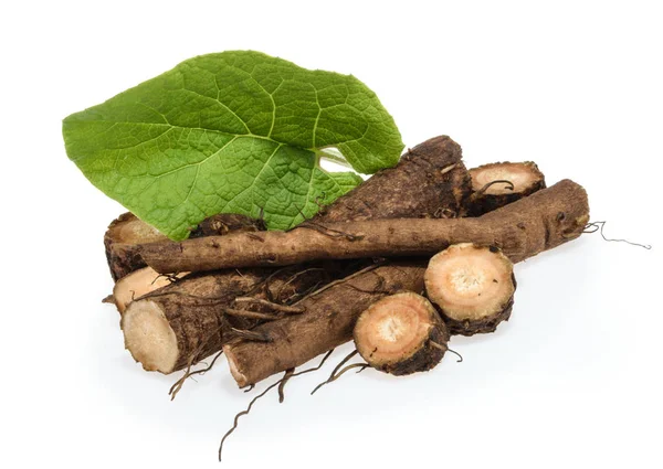 Beyaz arkaplanda izole edilmiş burdock kökleri