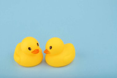 Sarı plastik ördekler mavi arkaplanda