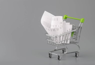 Makbuz ile Alışveriş sepeti , bakkal giderleri ve co için kavram