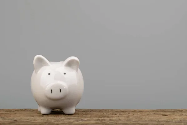 Piggy bank pengar besparingar koncept med kopieringsutrymme — Stockfoto
