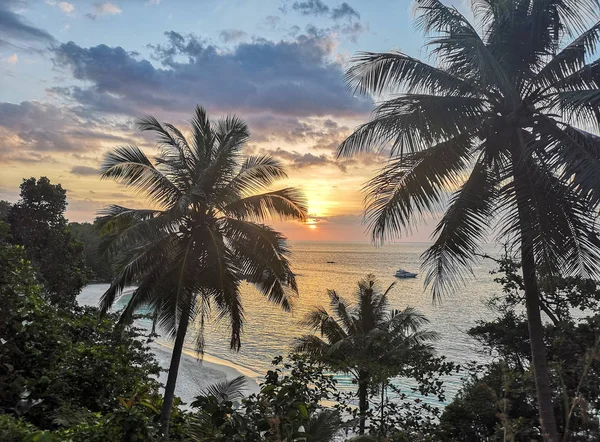 sunset on the sea with tropical palm trees