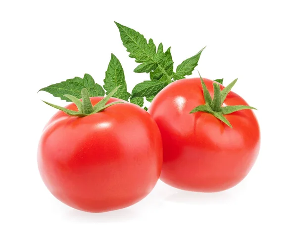 Tomate isoliert auf weißem Hintergrund Stockbild
