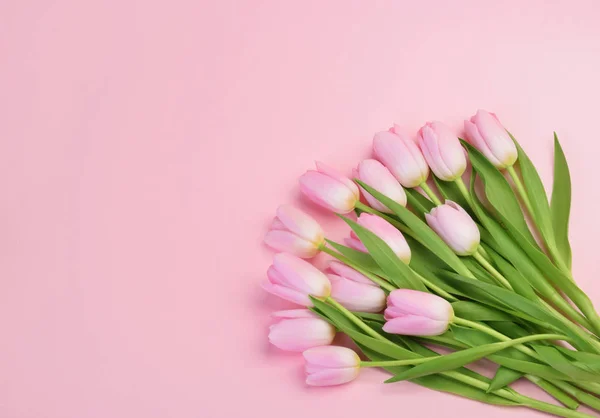 Pink tulip flowers with copy space — 스톡 사진