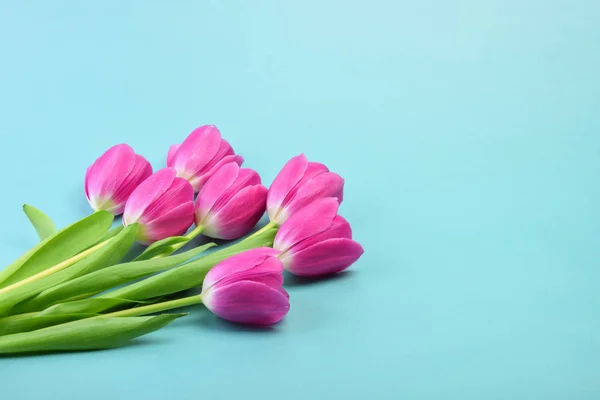 Fialové tulipánové květy s kopírovacím prostorem — Stock fotografie