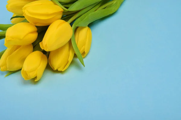 Ramo de flores de tulipán amarillo sobre fondo azul — Foto de Stock