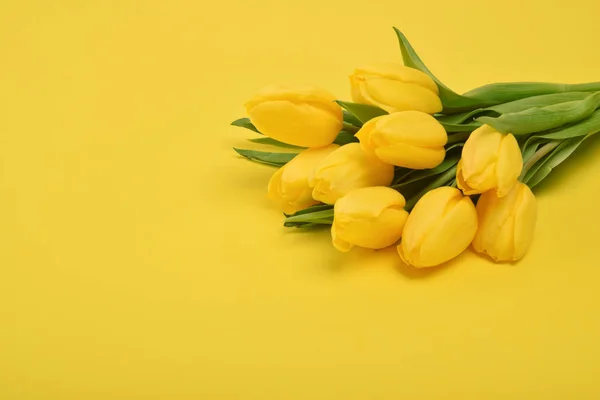 Boeket van tulp bloemen op gele achtergrond — Stockfoto