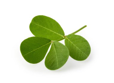 fıstık yaprağı kırpma yolu ile izole beyaz arka plan