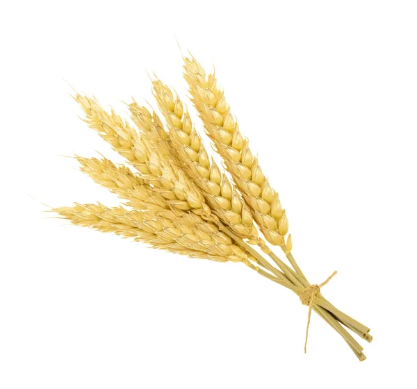 Wheat isolated on white. without shadow — Stock Photo, Image