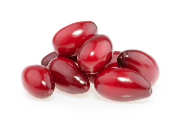 Rote Beeren von Kornelkirsche oder Hartriegel isoliert auf weiß — Stockfoto