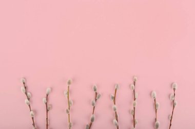 Pembe arka planda söğüt dalları