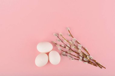 Pembe arka planda söğüt dalları paskalya konsepti