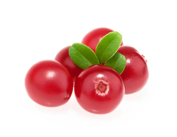 Cranberries Geïsoleerd Witte Achtergrond — Stockfoto