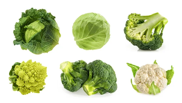 Different Types Cabbage Isolated White Background — Stock Photo, Image