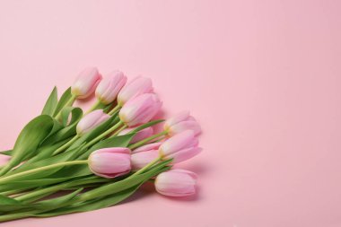 Kopya alanı olan pembe lale çiçekleri