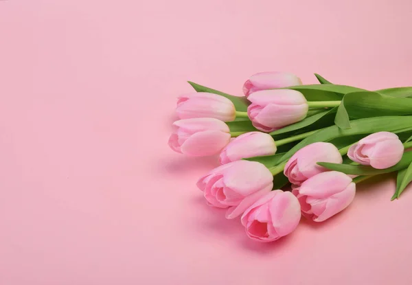 Roze Tulp Bloemen Met Kopieerruimte — Stockfoto