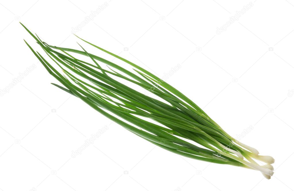 bunch of green onions isolated without shadow clipping path