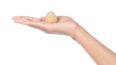 hand holding mushroom isolated on white background