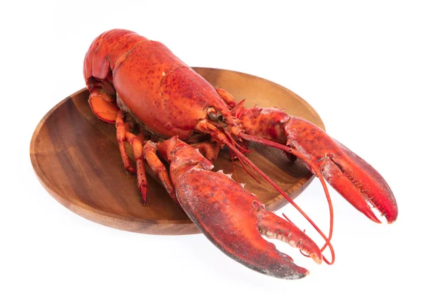 Lobster ,Boiled crayfish on dish isolated on white background