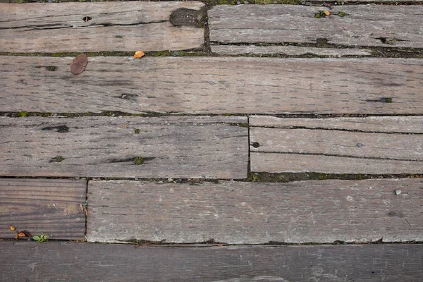 Textura de madeira pálida — Fotografia de Stock