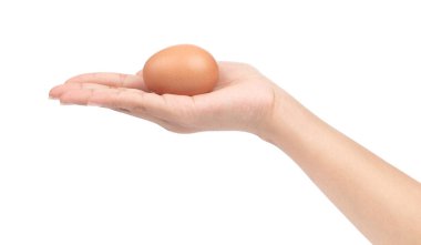 hand holding chicken eggs isolated on white background