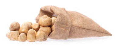 sack of mushroom isolated on white background