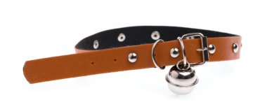 Beyaz bir arka plan üzerinde izole köpek yaka