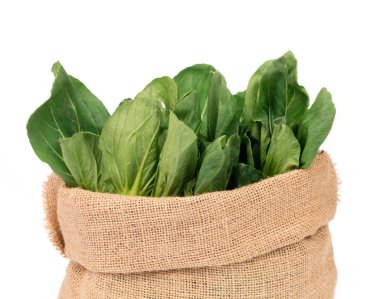 Sırt çantasındaki taze Çin lahanası beyaz sırtüstü izole edilmiş.