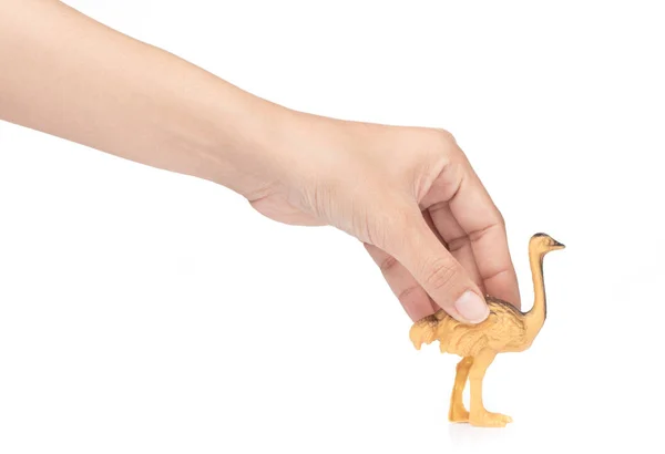 Mano celebración juguete plástico avestruz aislado sobre fondo blanco —  Fotos de Stock