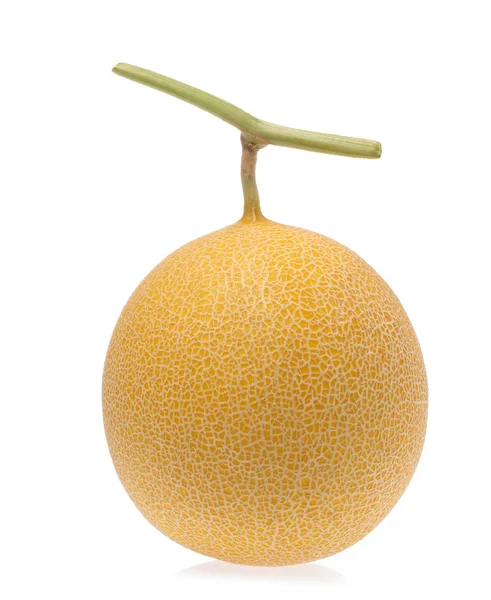 Melón melón aislado sobre fondo blanco . —  Fotos de Stock