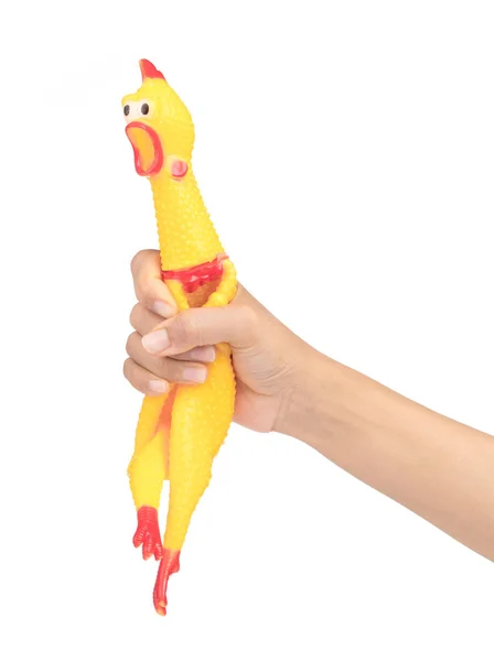 Mano celebración juguete goma grito amarillo pollo aislado en blanco — Foto de Stock