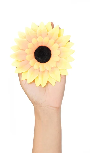 Mano tenendo girasole artificiale isolato su sfondo bianco. — Foto Stock