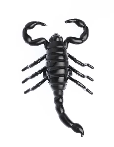 The black  scorpion isolated on white background — 图库照片