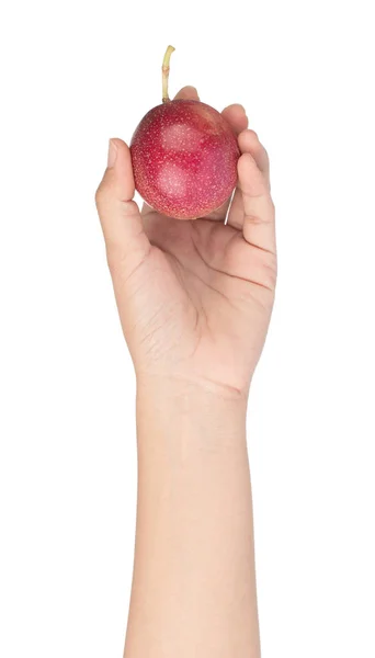 Рука держа фрукты Страсть изолированы на белом фоне . — стоковое фото