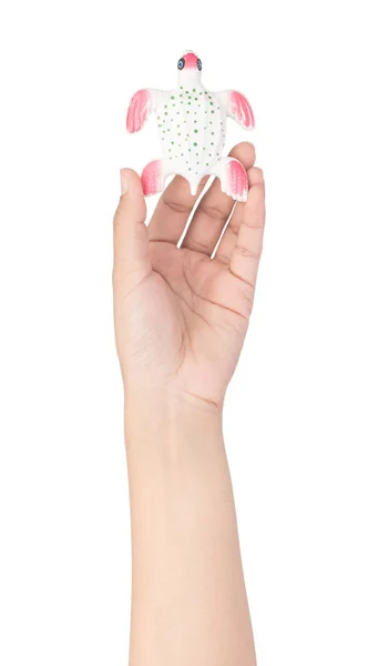 Mão segurando plástico brinquedo tartaruga isolada no fundo branco — Fotografia de Stock