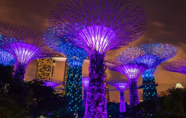 SINGAPUR - 18 DE FEBRERO DE 2017: Superárbol jardín por la noche, jardín —  Fotos de Stock