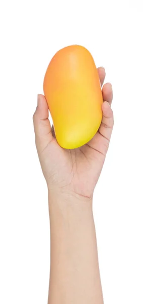 Hand holding Mango for decoration artificial fruit ornaments art — 스톡 사진