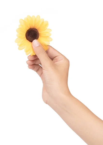 Mano tenendo girasole artificiale isolato su sfondo bianco. — Foto Stock