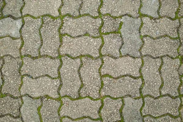 Muro de piedra cubierto de musgo verde — Foto de Stock