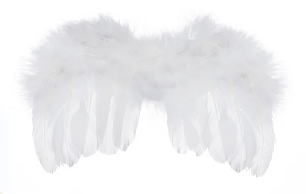 White Angel Wings isolated on a white background — ストック写真