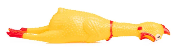 Juguete goma grito amarillo pollo aislado sobre fondo blanco —  Fotos de Stock