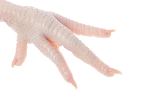 Beyaz arka planda çiğ tavuk ayağı izole — Stok fotoğraf