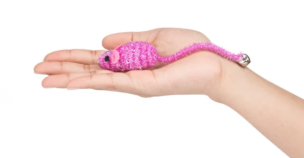 Hand holding Mouse toy for cats pets isolated on white backgroun — 스톡 사진