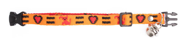 orange collar isolated over white background